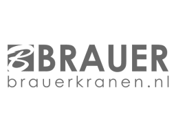 Brauer logo