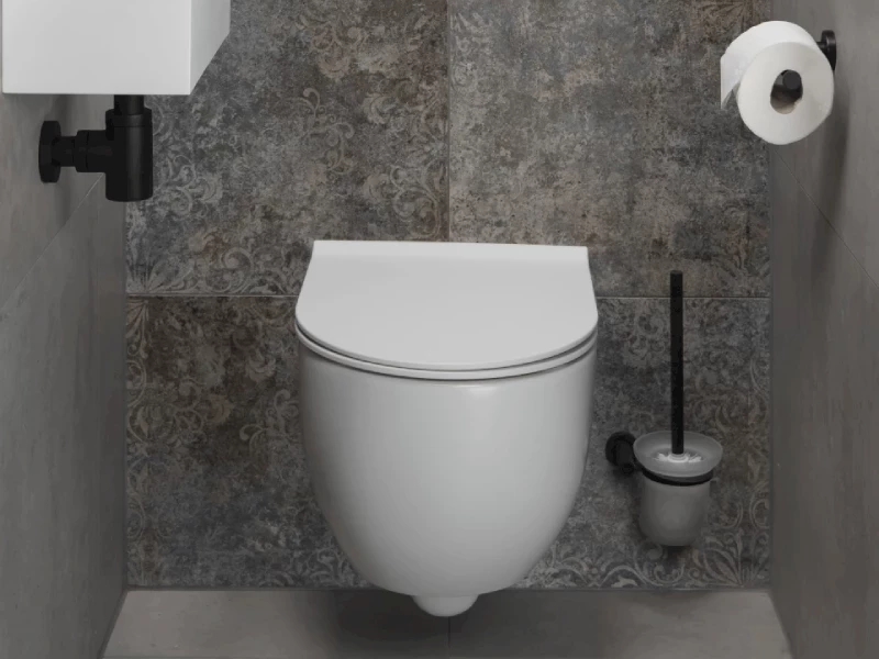 hardop arm Opstand Toilet accessoires kopen ? | Sani4All