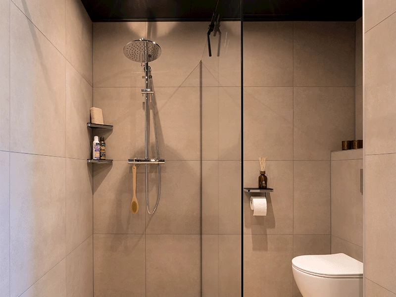 Rvs badkameraccssoires