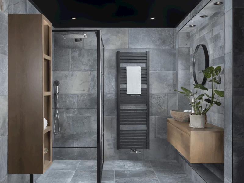 Moderne donkere badkamer