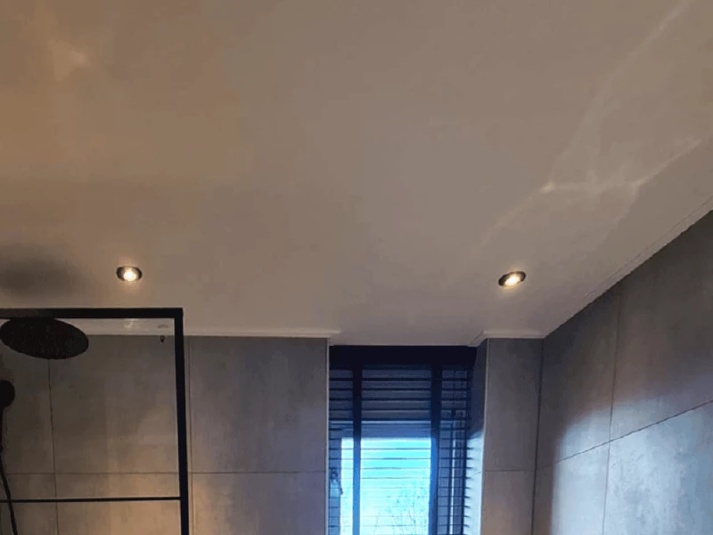 Net zo Sluiting Haarvaten Het beste badkamer plafond voor jouw badkamer | Sani4All