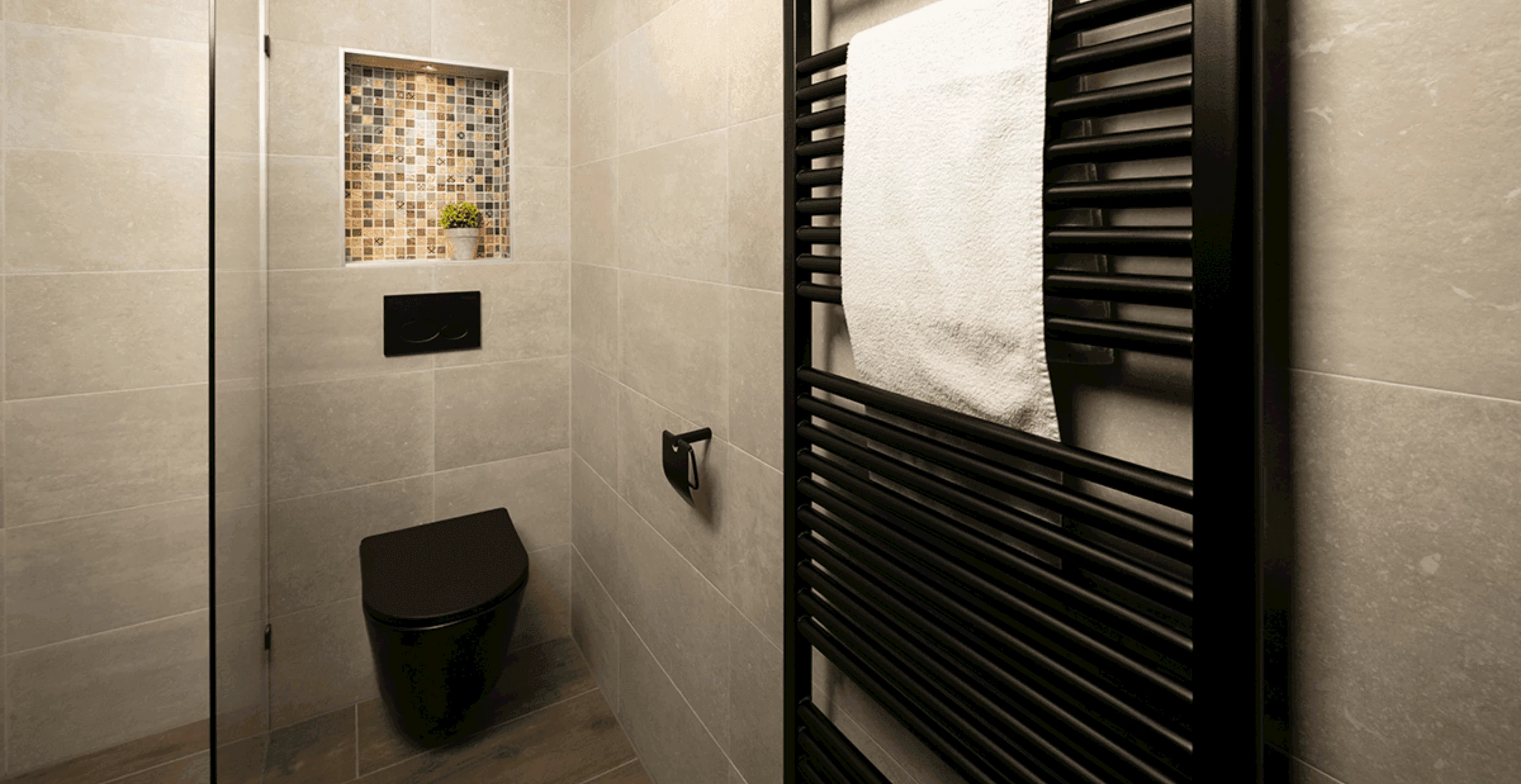 Zwart toilet