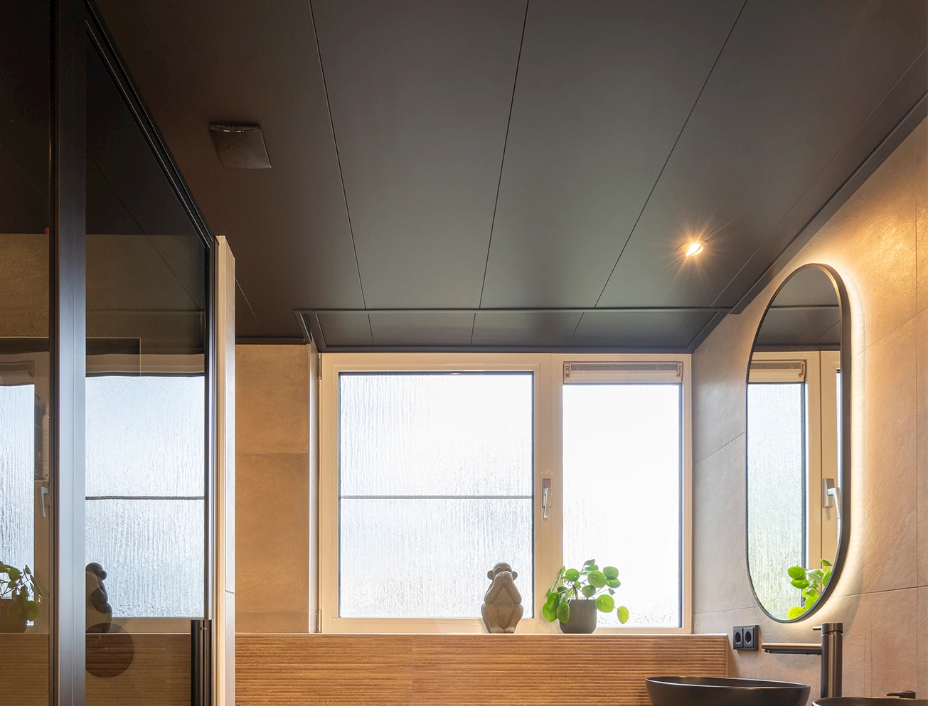 Zwart badkamerplafond