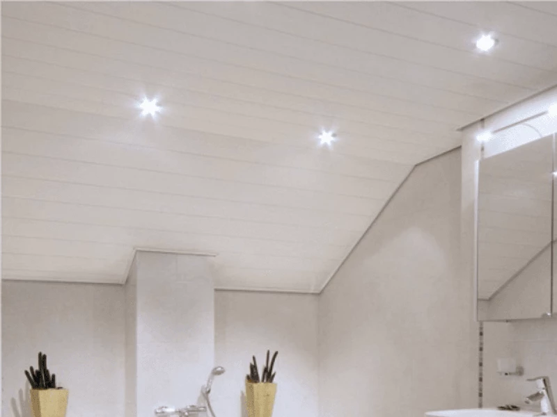 Delegeren Idioot Voorkeur Het beste badkamer plafond voor jouw badkamer | Sani4All